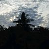 anakrangguci2
