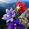 user30201082948654