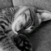 julieth__.3