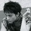 hwang_ana30