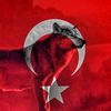 asenay42