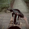 baothangdepz1