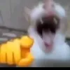 rogielangay