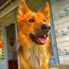 embecuoiduyen