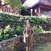 sok.nal49