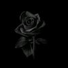 user1316213401