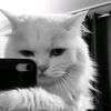 syafieqa_n
