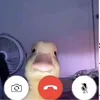 alvin00703
