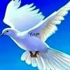 user5714398394077