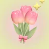 shami_mia