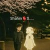 shahin9054