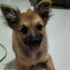 skye_0328