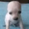 thread_54.3