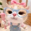 thyynguynn07