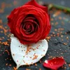 user9001366527936