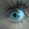 hei_nn2238