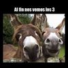 juanereu17