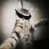 haw_raa04