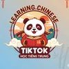 Learning Chinese
