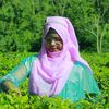 parvin4858