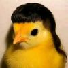 dizzlupin