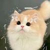 irxy._5
