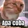 orangbisasa0