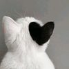 sayu.sayu79
