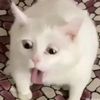 bojo_newong2