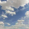 lesa_i1