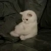 zoiiin__70