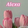 alexa.coy.miza