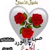 user8829515461437