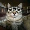 kalet_12253