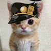 jotaro.cat