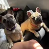 tommy_p345