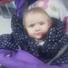 maja.ciss