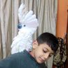 ahmedsameh7157