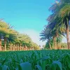 user8390004231961