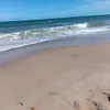 mar37532