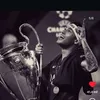 lipizz_11