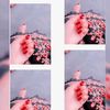 alisha7k6
