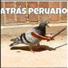 mikel_v_ch