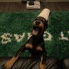 plutoaid_81614