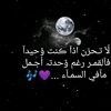 wael.gomaa0526