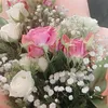 asppml