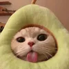 cheesekate_x