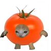 sam_112114