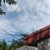 lestari031129