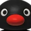 pingu2506